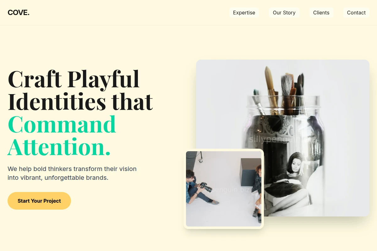 Cove Creative Direction